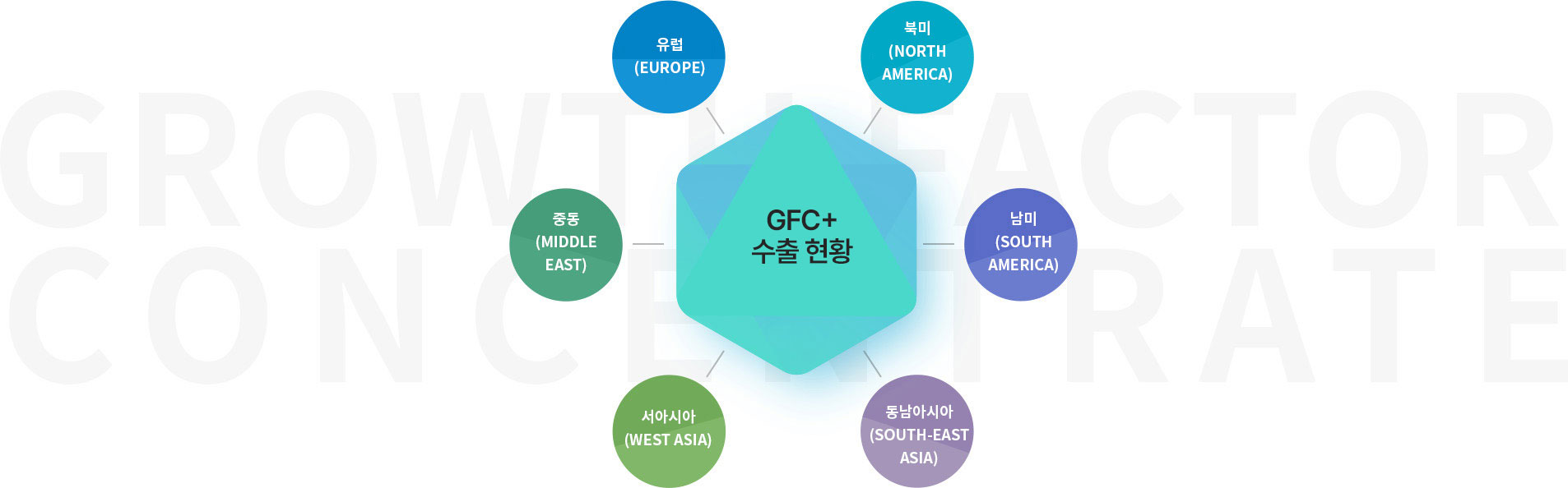visual_2